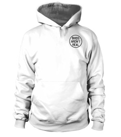 Birds Aren't Real Merch I Am A Lie Hoodie