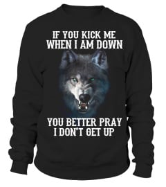 If You Kick Me When I Am Down Wolf