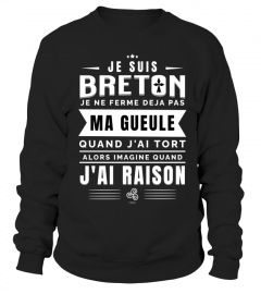 ▶ T-shirt Je Suis Breton | Humour Breton