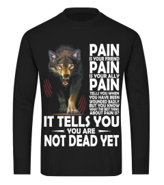 Pain Is Your Friend Wolf