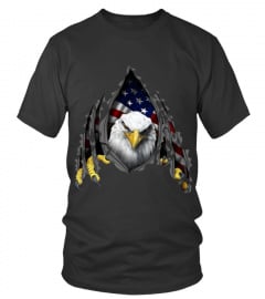 American Flag Eagle Rip