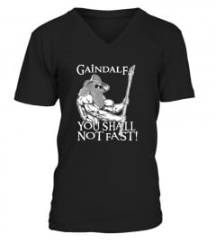 Gaindalf You Shall Not Fast T Shirt