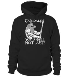 Gaindalf You Shall Not Fast T Shirt