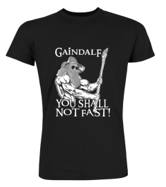 Gaindalf You Shall Not Fast T Shirt