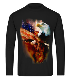 American Flag Wings Eagle