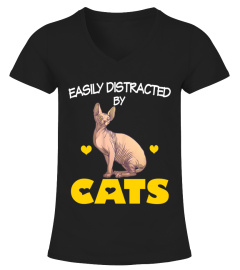 Cute sphynx cat