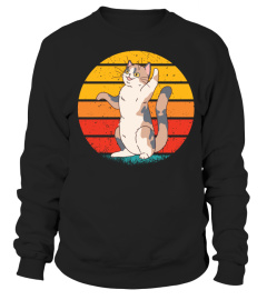 Vintage Retro Sunset For Cat