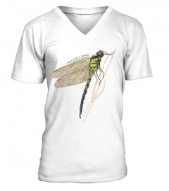 RK70S-861-WT. Strawbs - Dragonfly