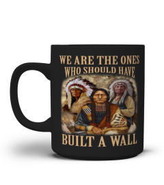 We Are The Ones Who Should Have Built A Wall Native