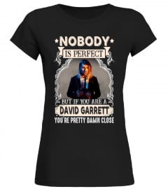 Nobody Is Perfect David Garrett
