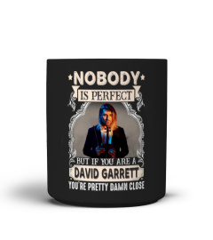 Nobody Is Perfect David Garrett