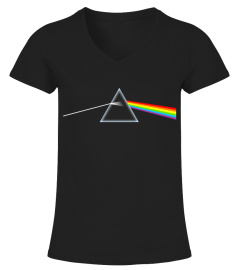 BSA-008-BK. Dark Side Of The Moon - Pink Floyd (2)