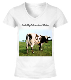 BSA-WT. Pink Floyd - Atom Heart Mother 2