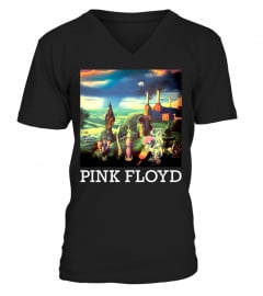 Pink Floyd Album (12)