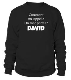 Comment on appelle un mec parfait ? David - Edition Limitée