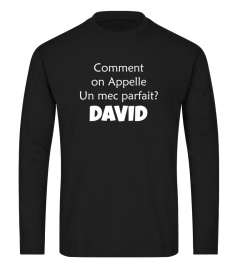 Comment on appelle un mec parfait ? David - Edition Limitée