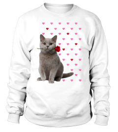 British Shorthair Cat Lover Gift Shirt Pink Hearts Valentine Gifts Cat Mom Cat Dad Hoodie