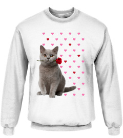 British Shorthair Cat Lover Gift Shirt Pink Hearts Valentine Gifts Cat Mom Cat Dad Hoodie