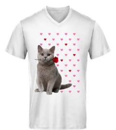 British Shorthair Cat Lover Gift Shirt Pink Hearts Valentine Gifts Cat Mom Cat Dad Hoodie