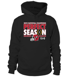 Hoodie Georgia Bulldogs College Football Playoff 2022 National Champions Perfect Season Pullover