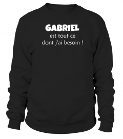 Gabriel est tout ce dont j'ai besoin ! - Edition Limitée