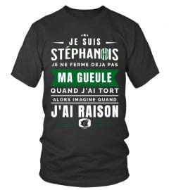 T-shirt Je Suis Stéphanois