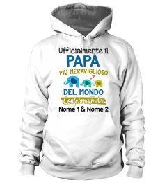 UFFICIALMENTE IL PAPÀ