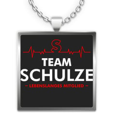 schulze-1de200m4-160