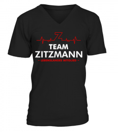 zitzmann-2701de3000m4-3000