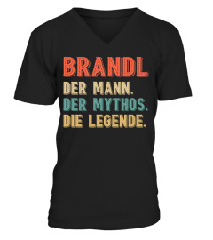 brandl-501de700m6-513