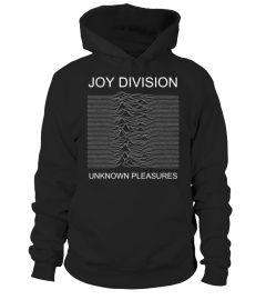 Joy Division 4