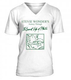 Stevie Wonder WT (8)