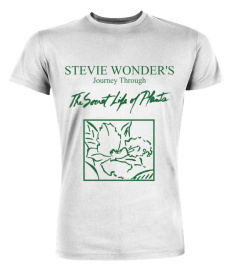 Stevie Wonder WT (8)