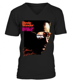 Stevie Wonder BK (8)