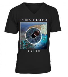 Pink Floyd BK (15)