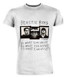 Beastie Boys WT (28)