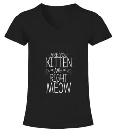 Are You Kitten Me Right Meow T-Shirt Funny Cat Joke Tee