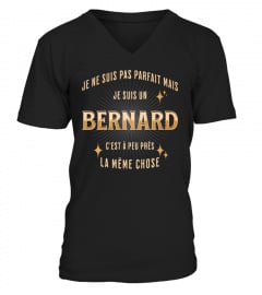Bernard Perfect Gift
