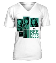 Bee Gees 33 WT