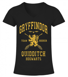 Gryffindor Quidditch Team Seeker