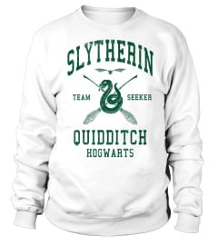 Slytherin Quidditch Team Seeker