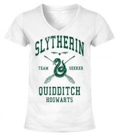 Slytherin Quidditch Team Seeker