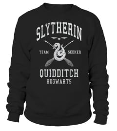 Slytherin Team Seeker Hogwarts Quidditch