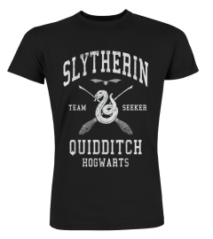 Slytherin Team Seeker Hogwarts Quidditch