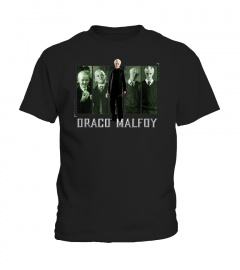 Draco Malfoy Panel