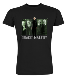 Draco Malfoy Panel