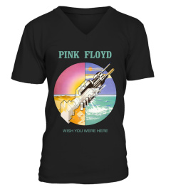 Pink Floyd BK (22)