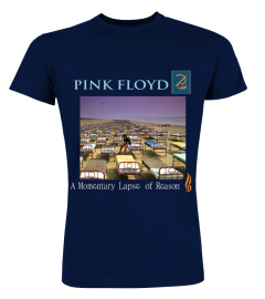 BSA-NV. Pink Floyd - A Momentary Lapse of Reason