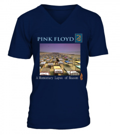 BSA-NV. Pink Floyd - A Momentary Lapse of Reason