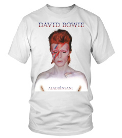 100GLR-003. David Bowie, “Aladdin Sane” (1973) WT